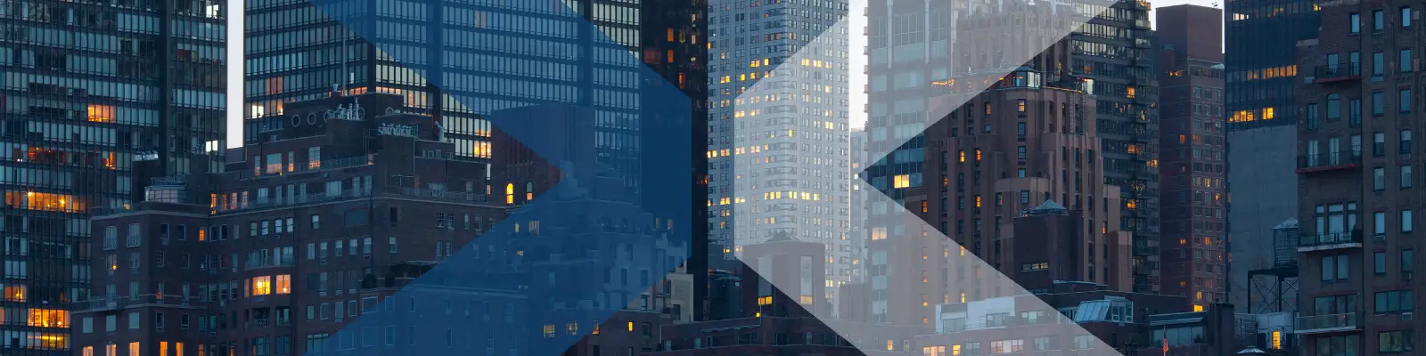 Banner image